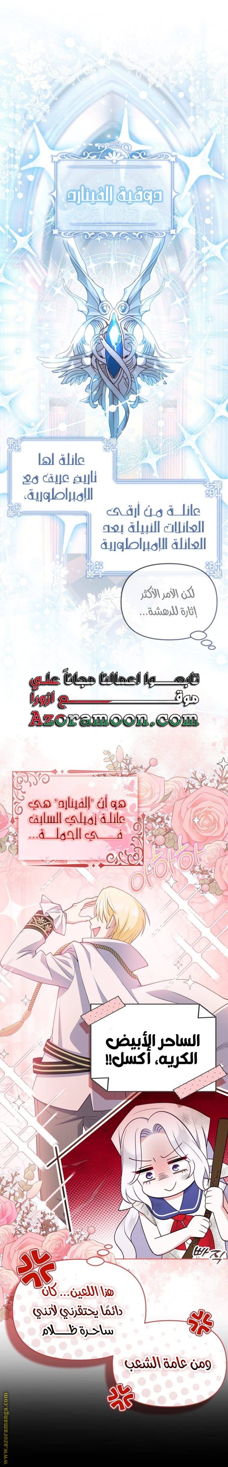 الصفحة 17