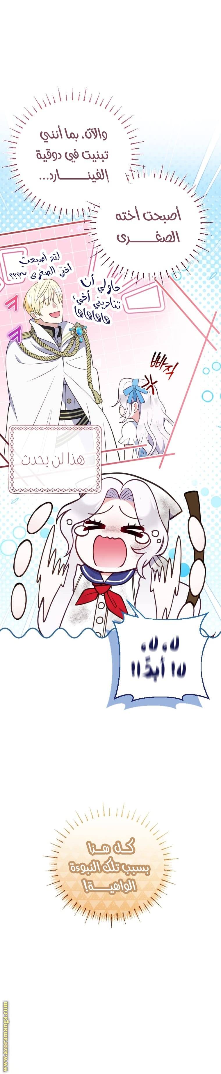 الصفحة 19