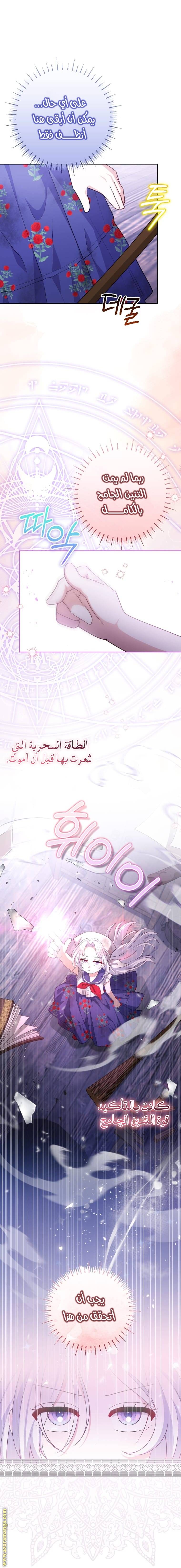 الصفحة 21