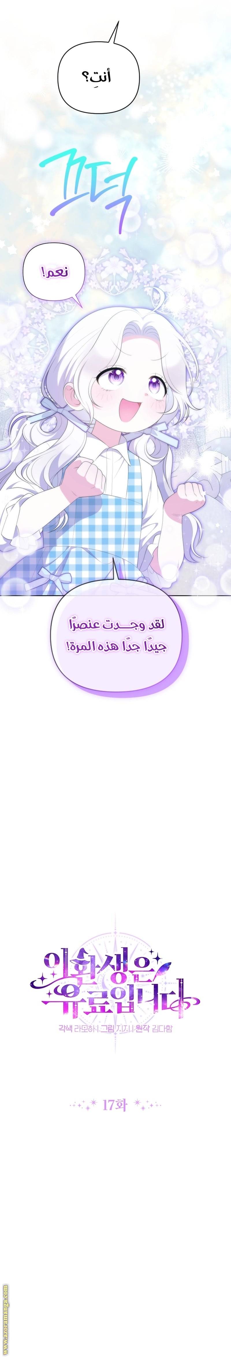 الصفحة 13