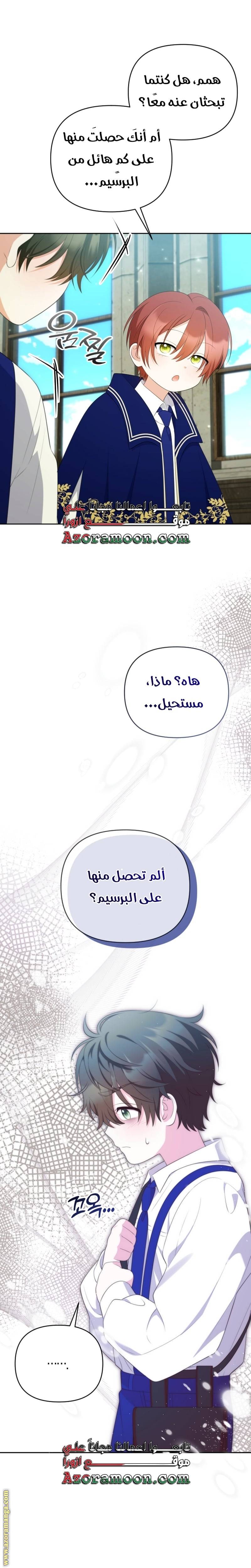 الصفحة 19