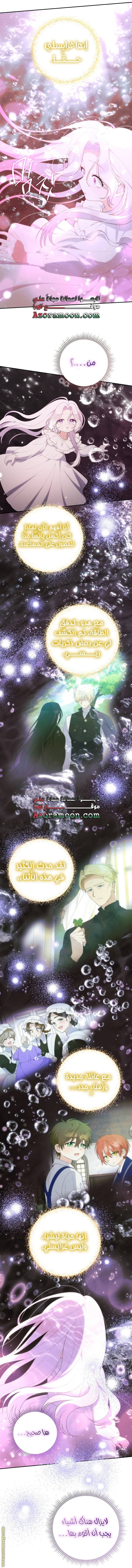الصفحة 26