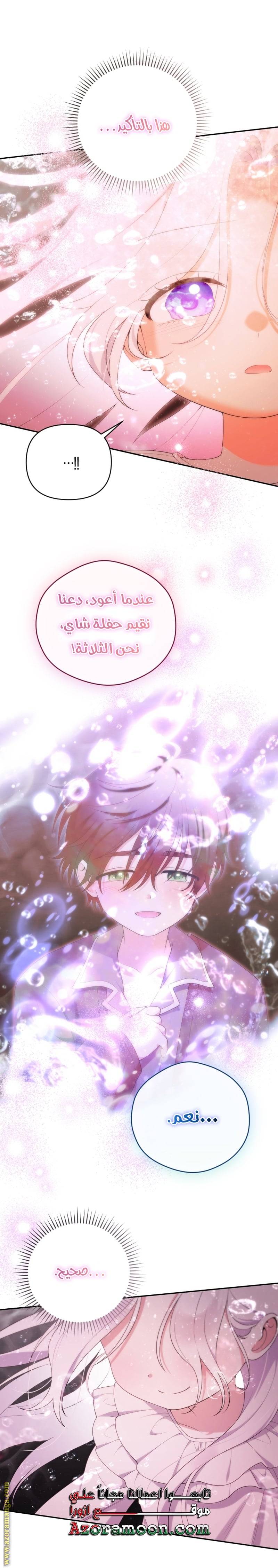 الصفحة 27