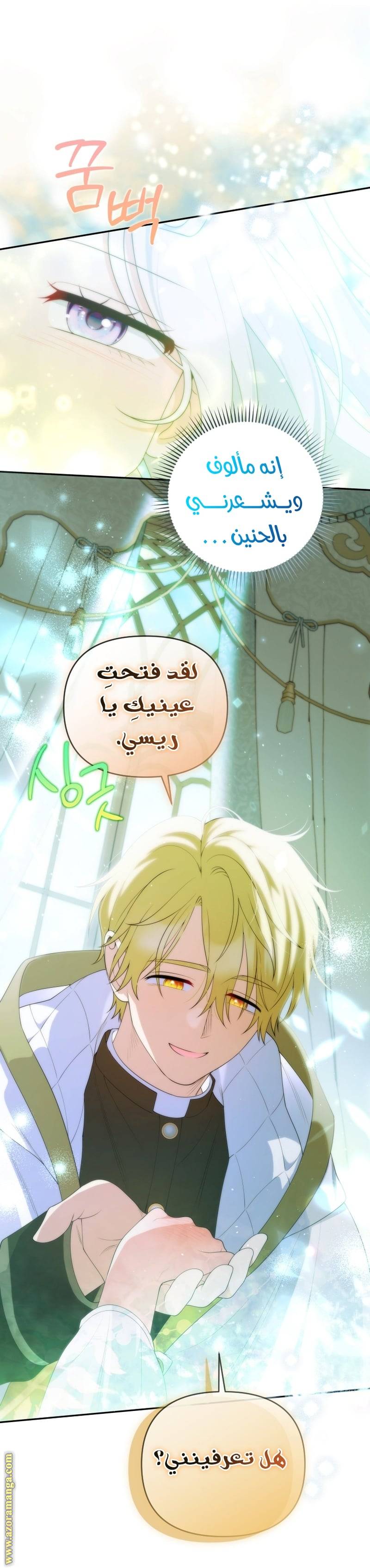 الصفحة 30