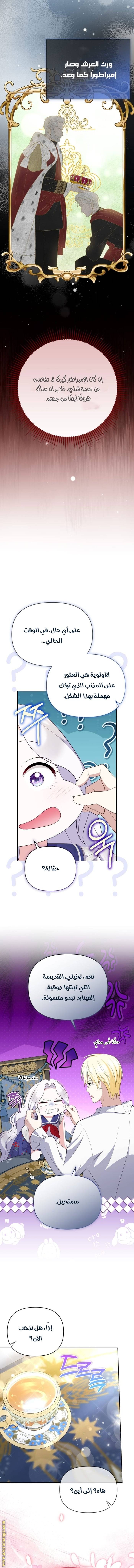 الصفحة 7