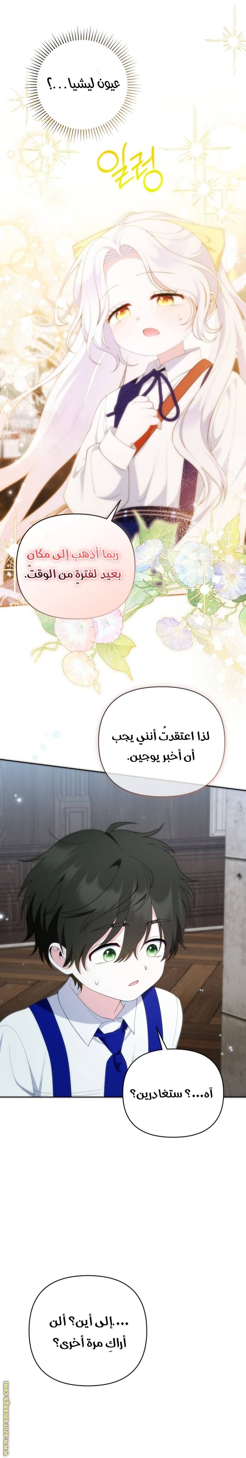الصفحة 26