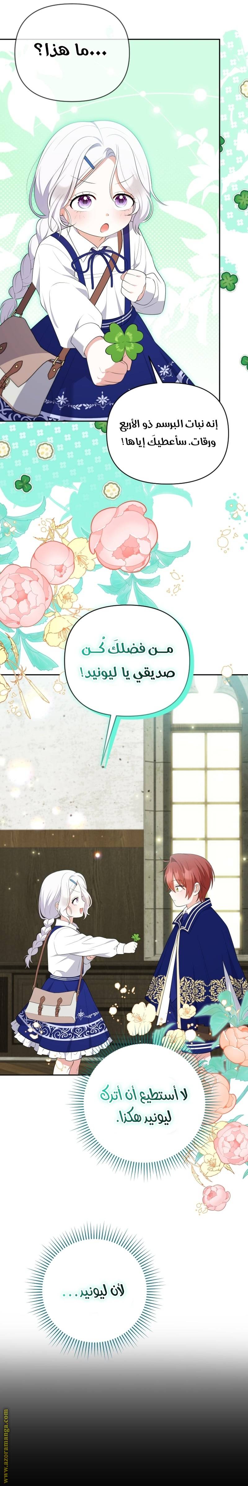 الصفحة 17