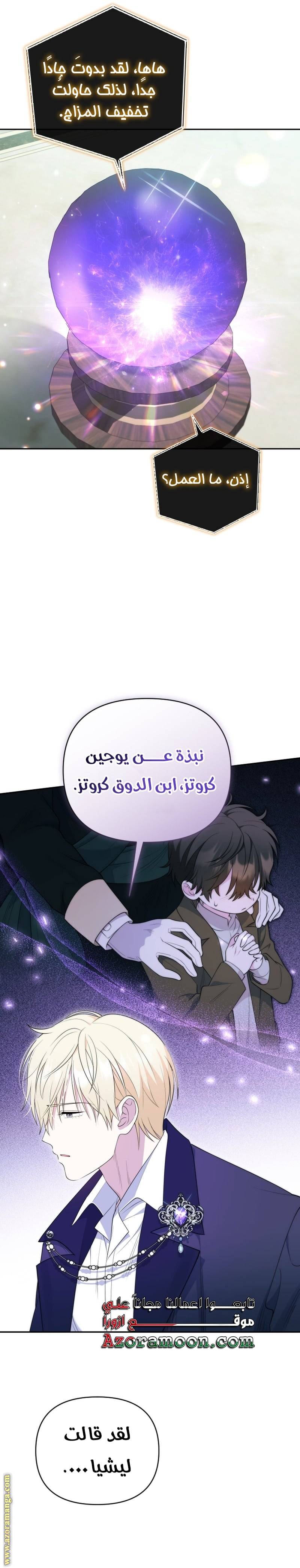 الصفحة 29