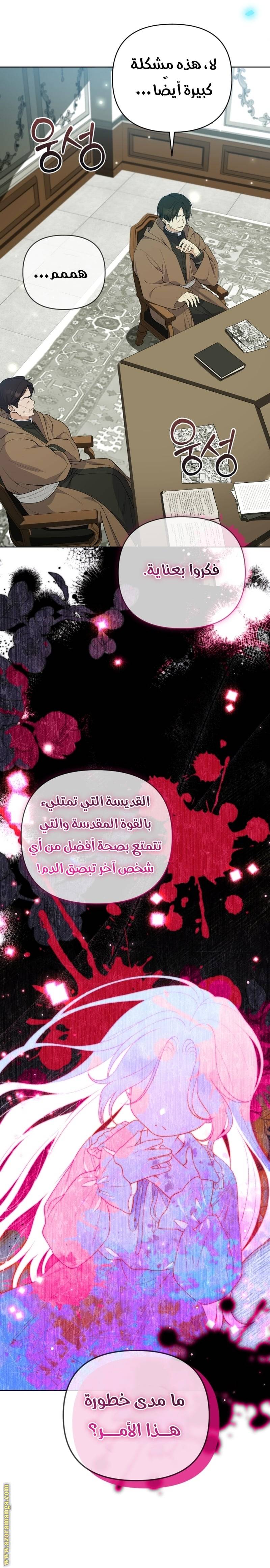 الصفحة 13