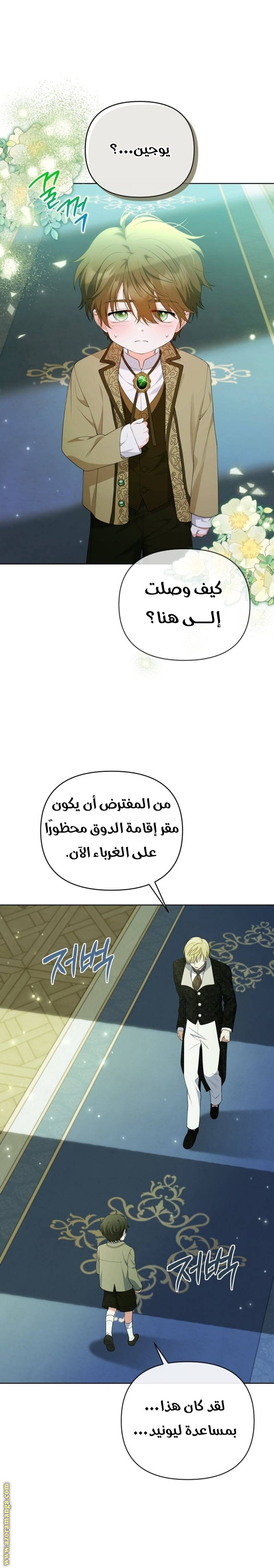 الصفحة 29