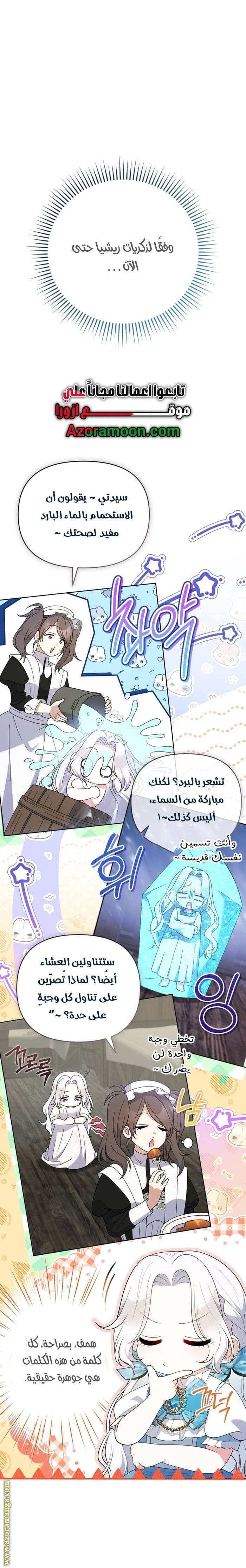 الصفحة 13
