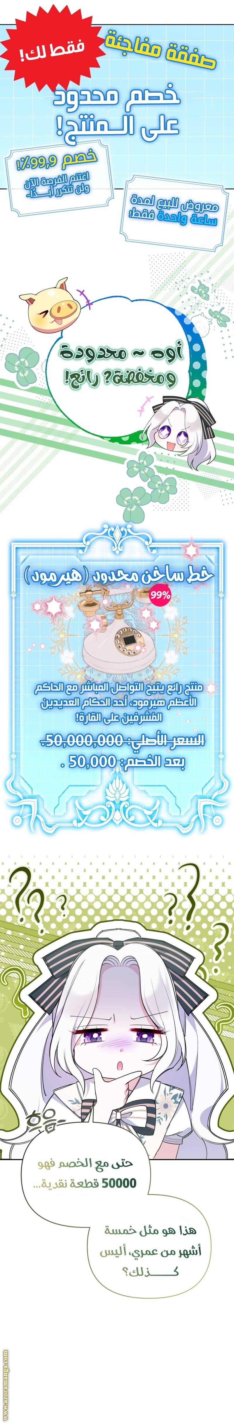 الصفحة 19