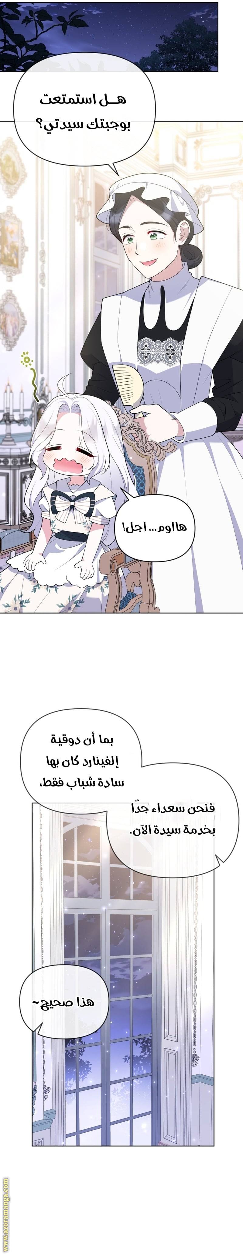 الصفحة 26