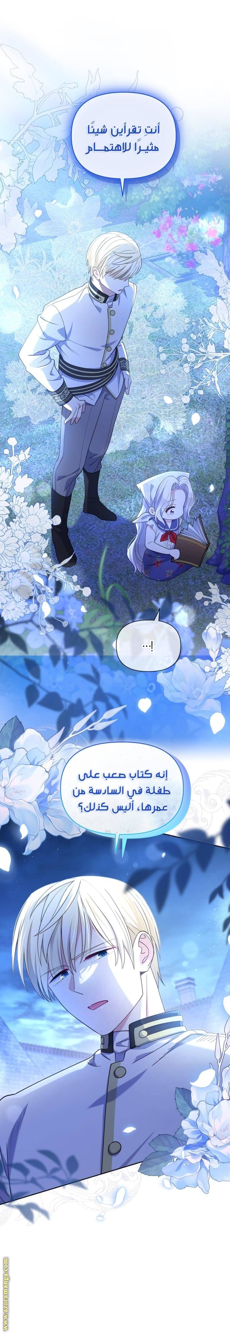 الصفحة 17