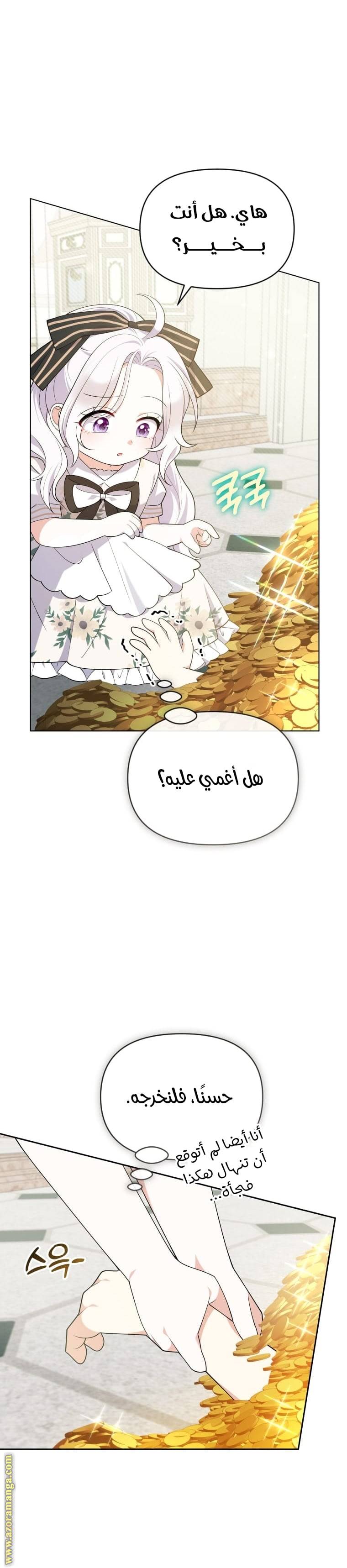 الصفحة 17