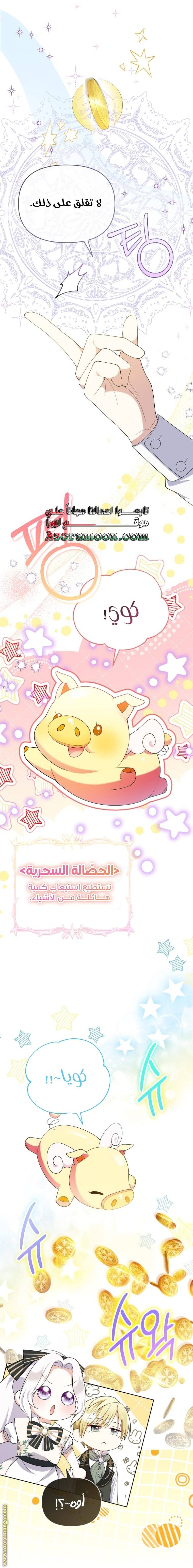 الصفحة 21