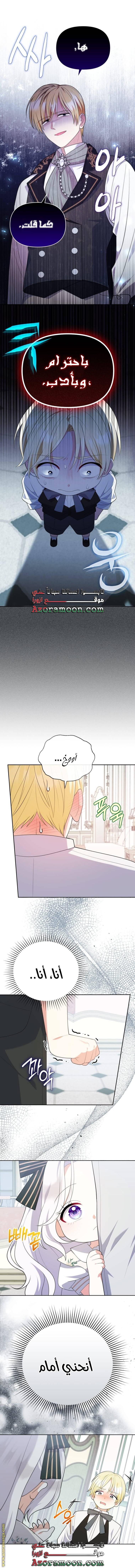 الصفحة 27