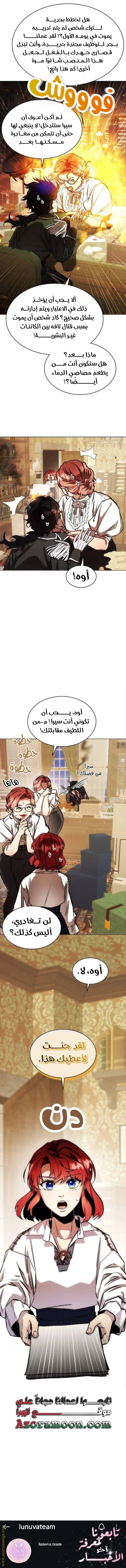الصفحة 17