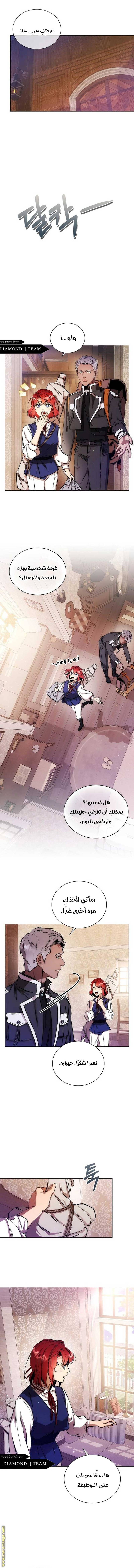 الصفحة 13