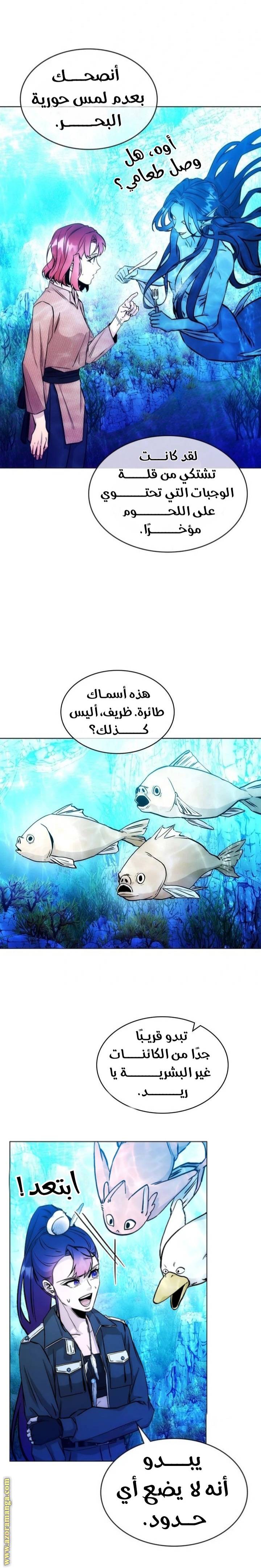 الصفحة 13
