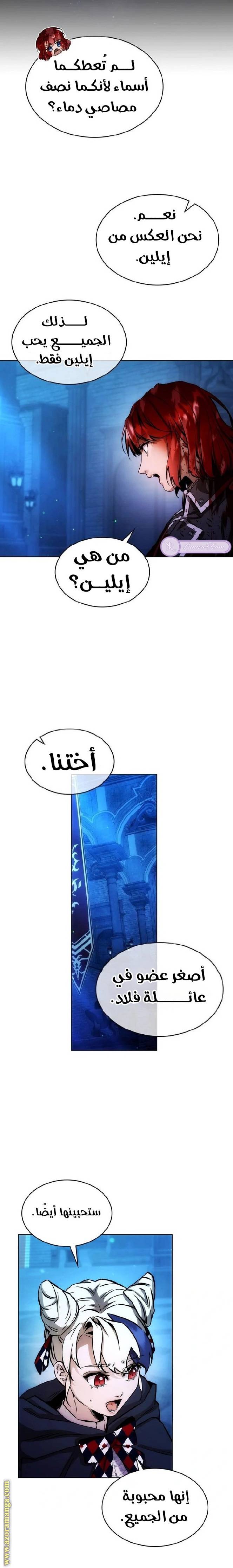 الصفحة 17