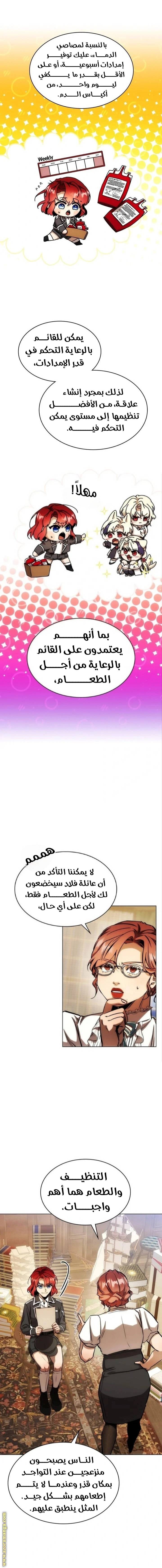الصفحة 17