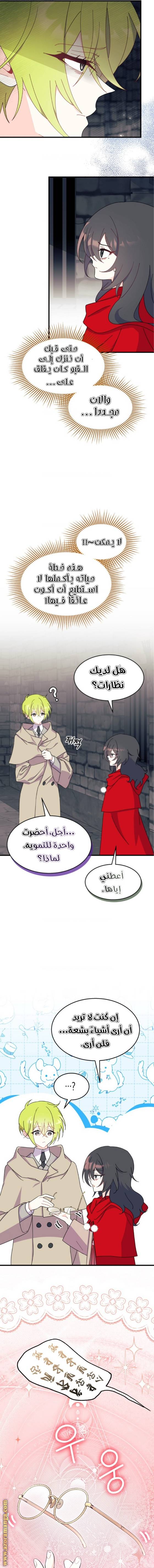 الصفحة 11