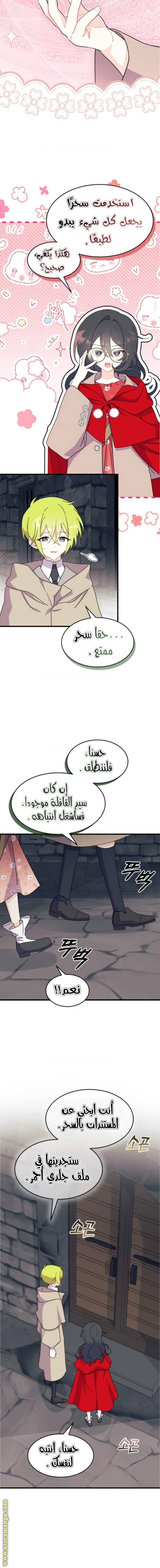 الصفحة 12