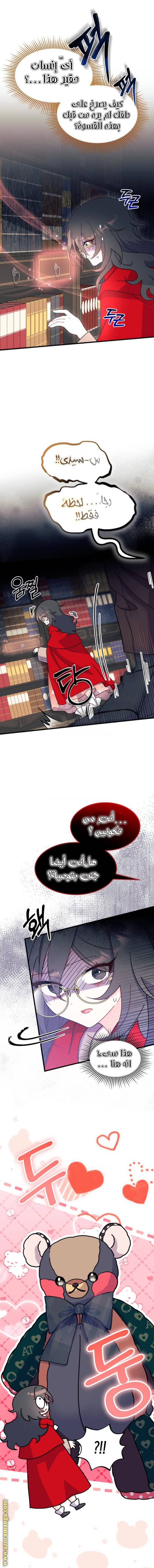 الصفحة 17