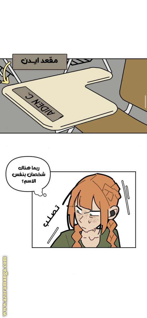 الصفحة 13