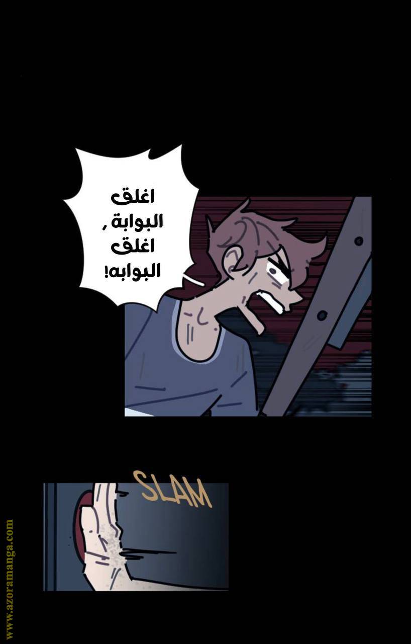 الصفحة 13