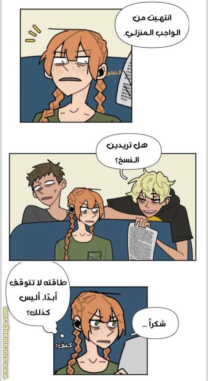 الصفحة 13