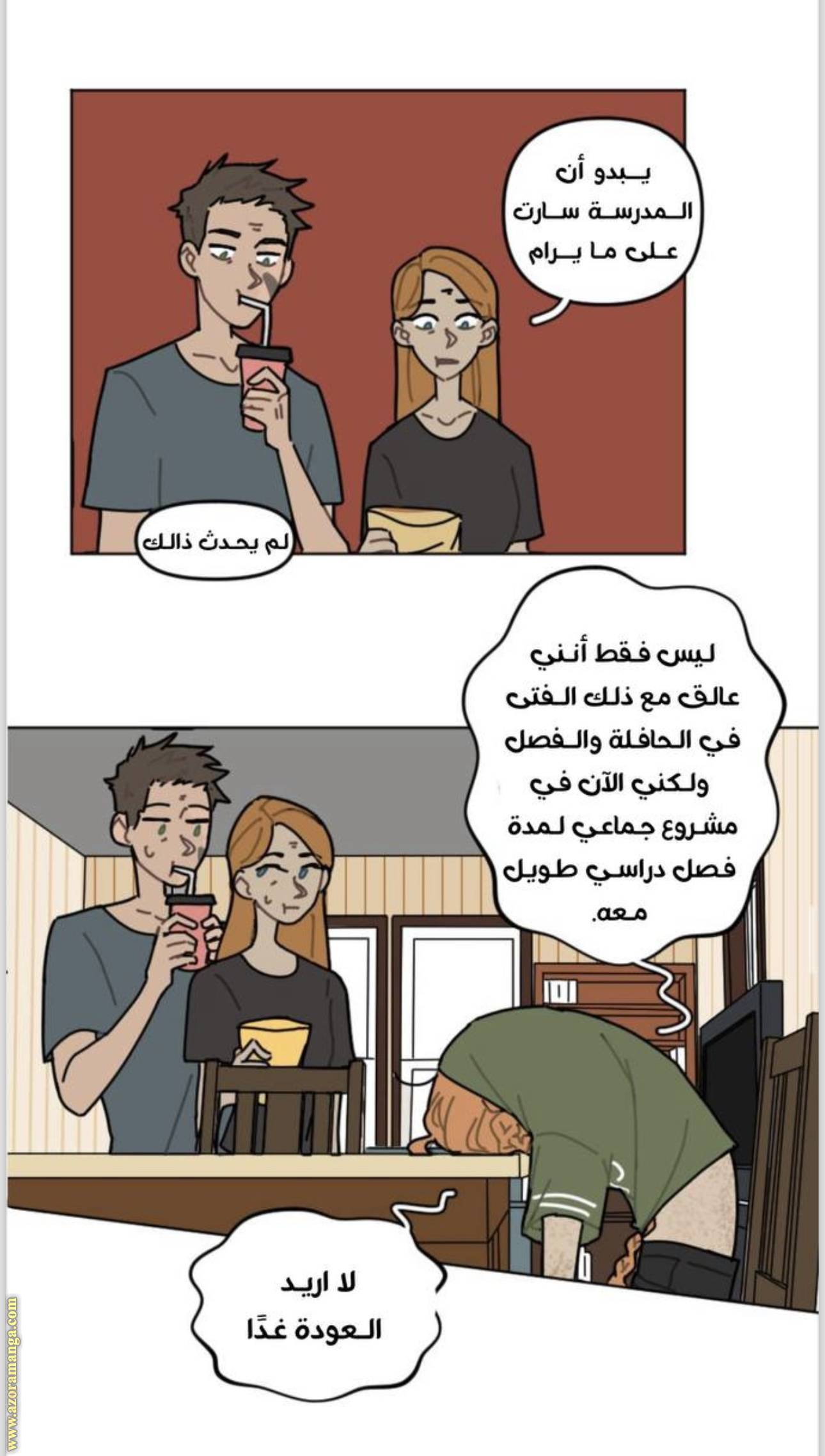 الصفحة 17