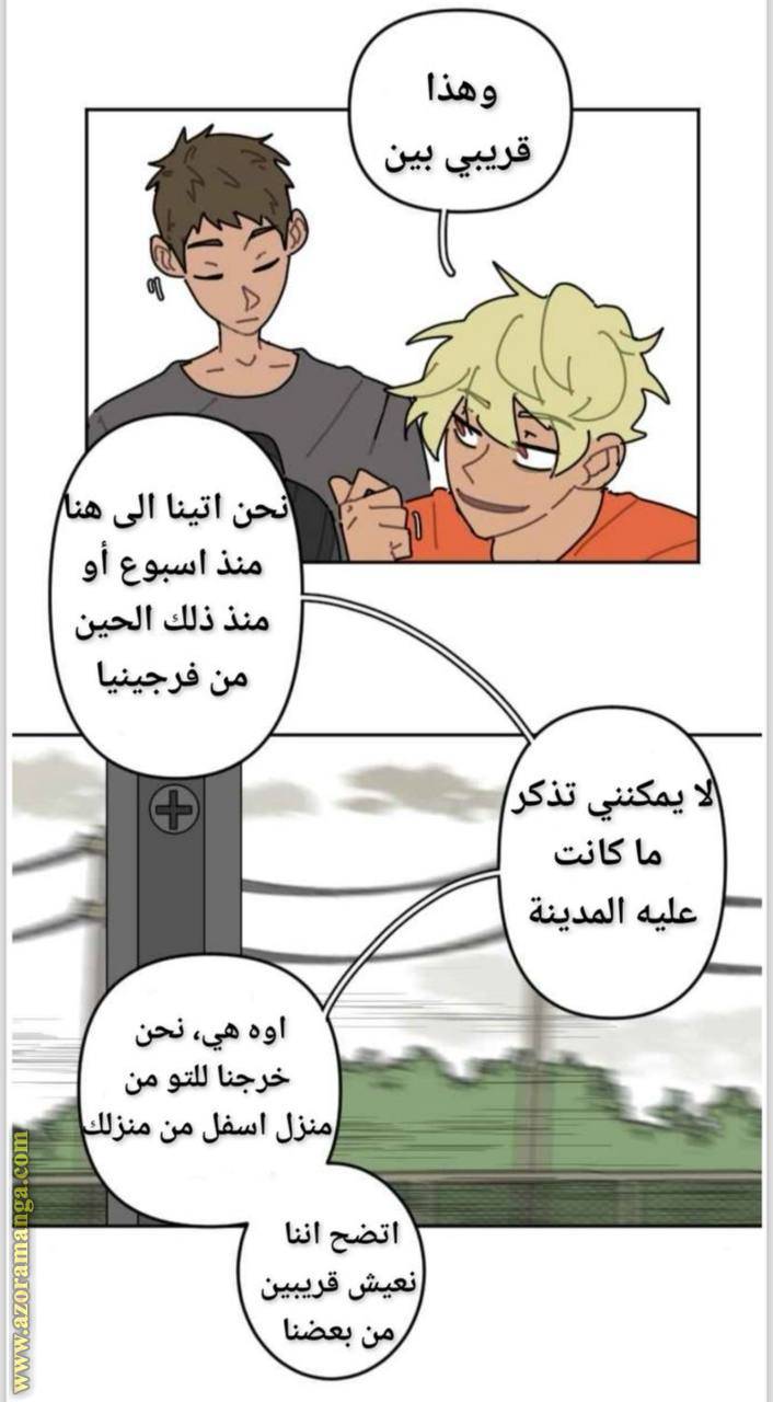 الصفحة 11