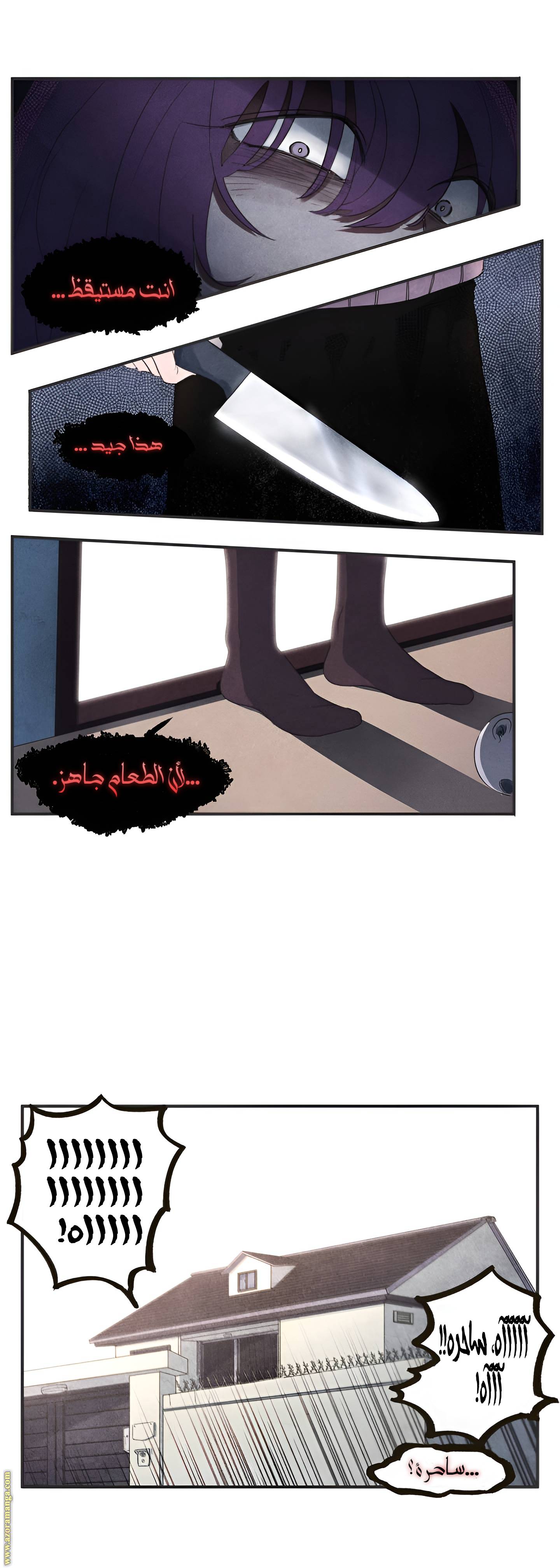 الصفحة 17