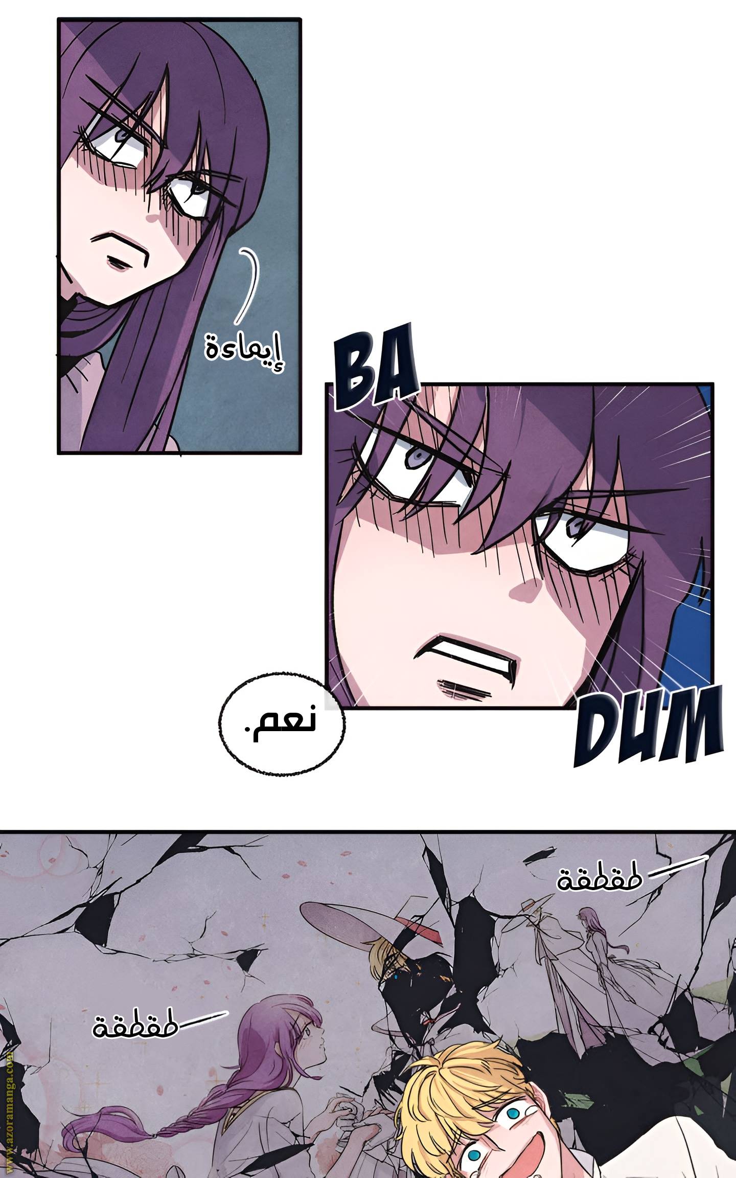 الصفحة 27