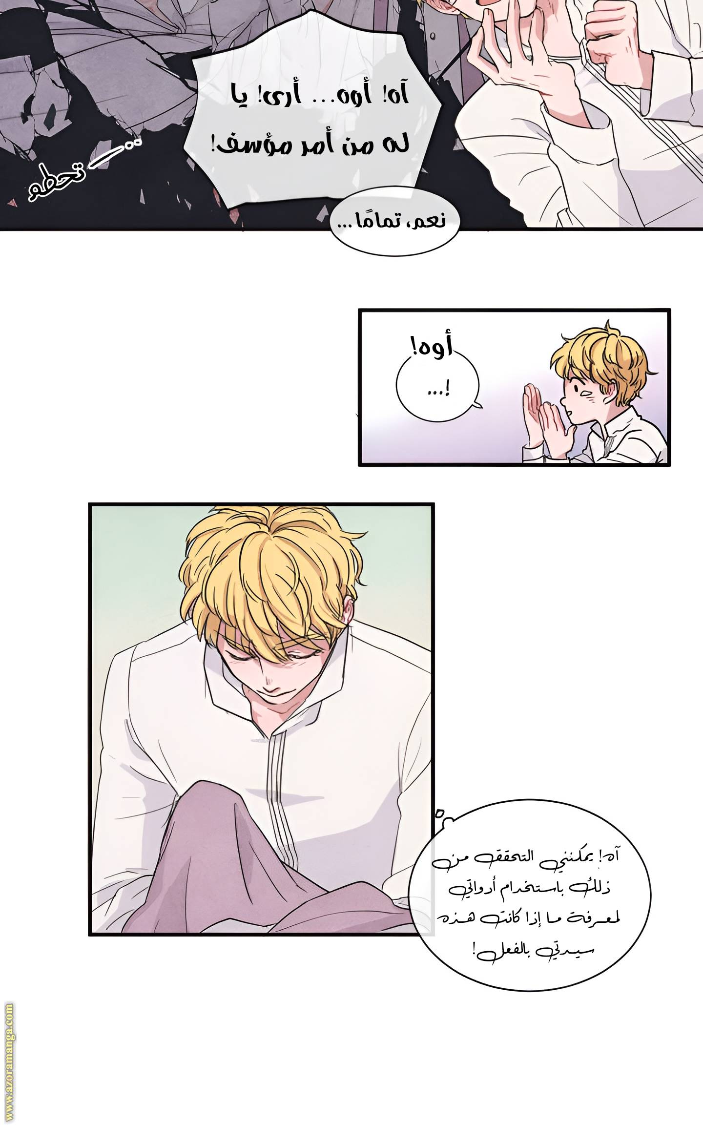الصفحة 28