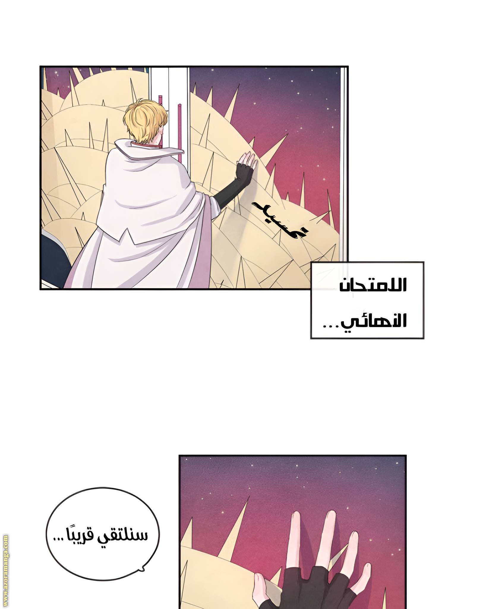 الصفحة 11