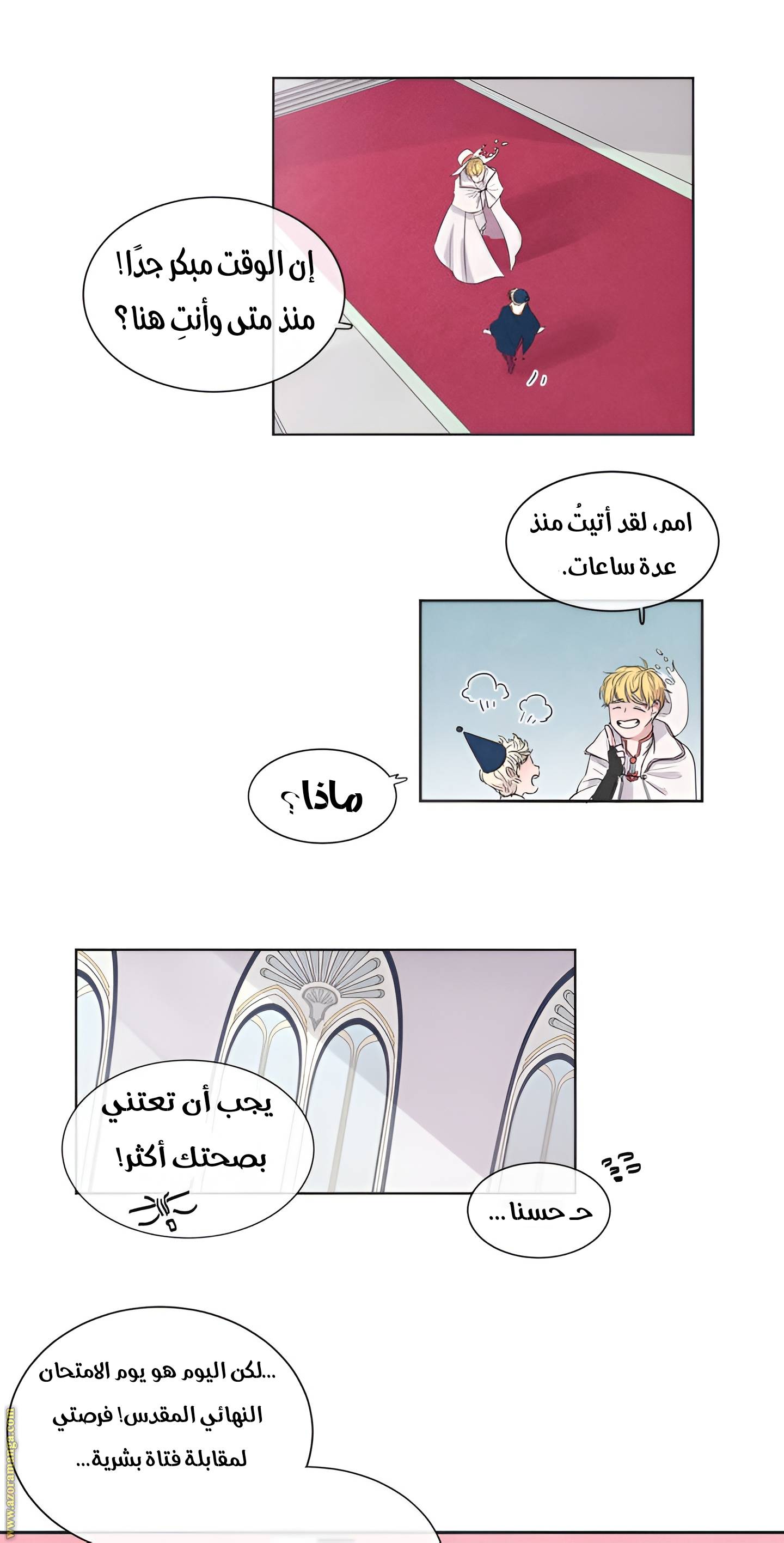 الصفحة 13