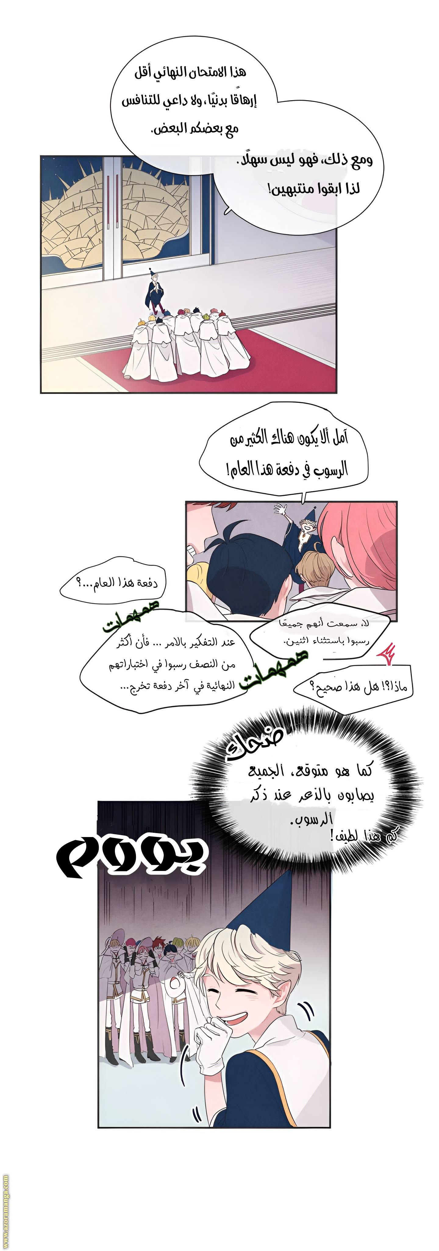 الصفحة 17