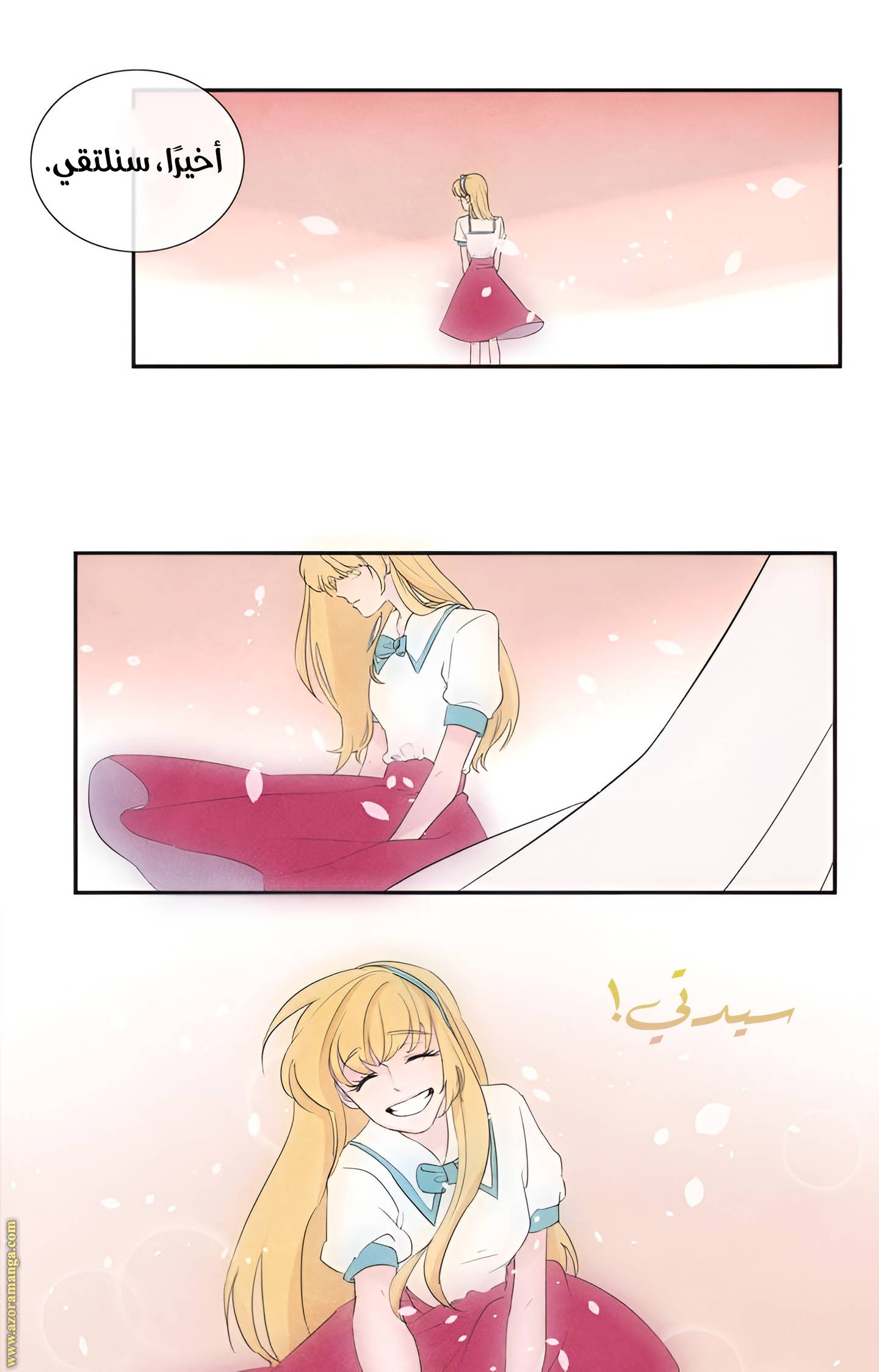 الصفحة 25