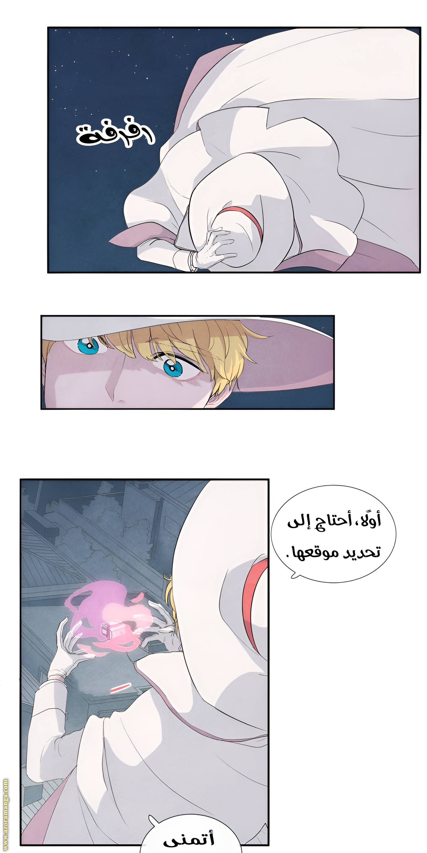 الصفحة 27