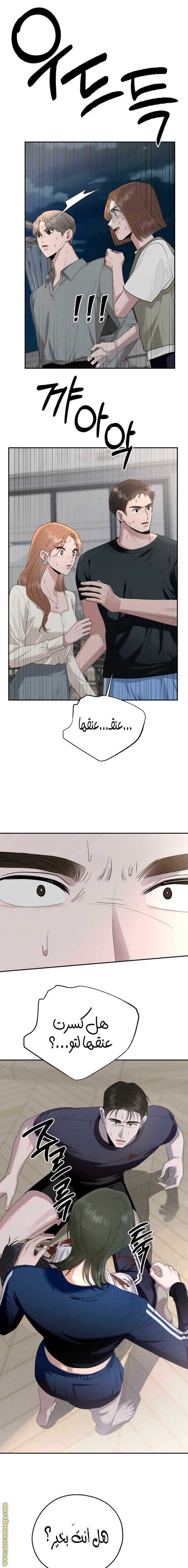 الصفحة 11