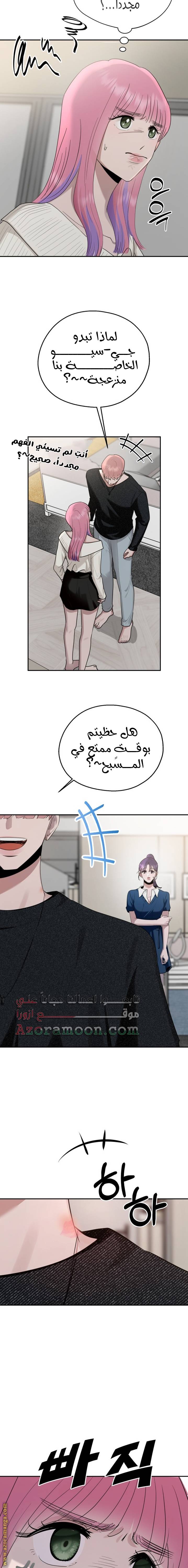 الصفحة 17