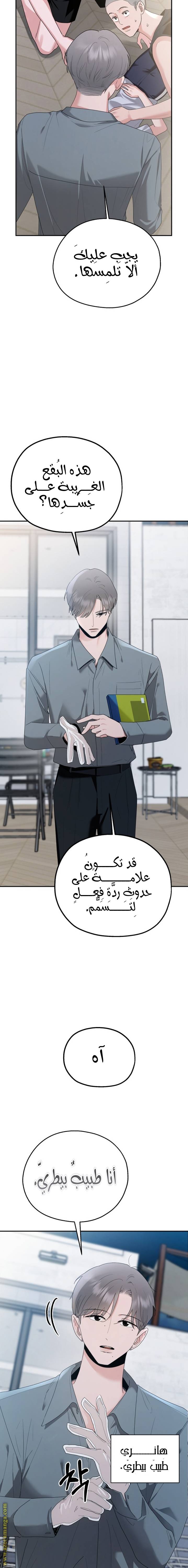 الصفحة 19