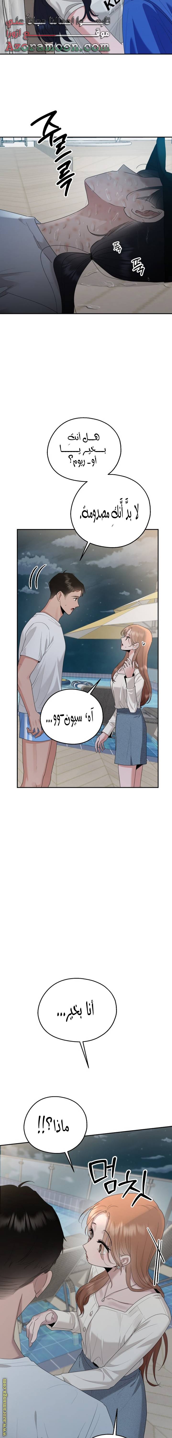 الصفحة 22