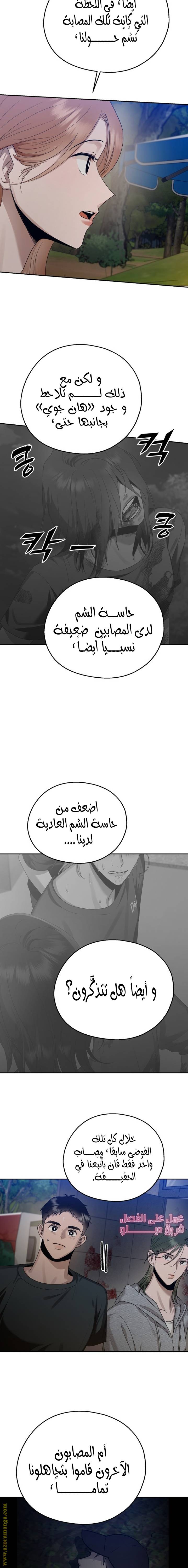 الصفحة 17