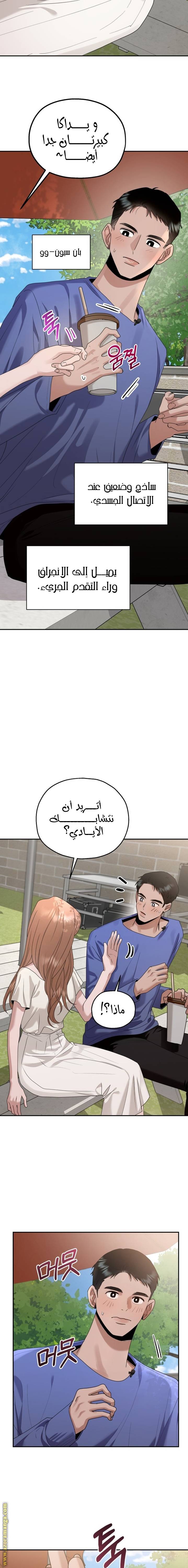 الصفحة 17