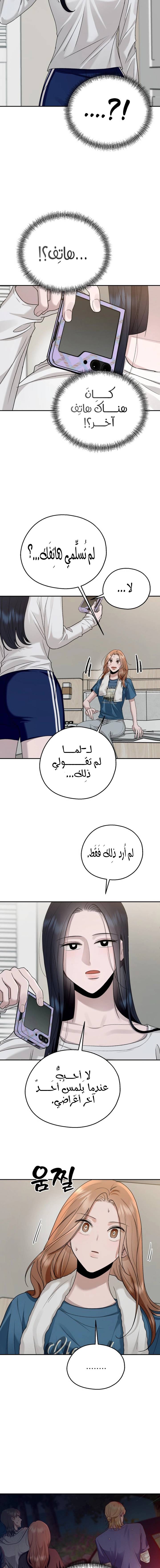 الصفحة 17