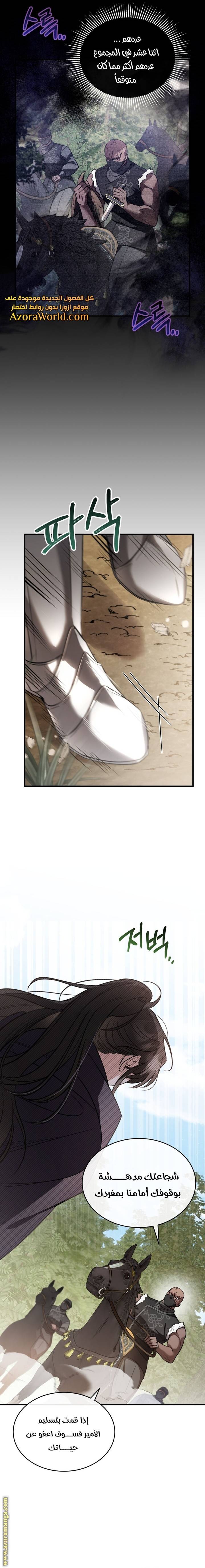الصفحة 12